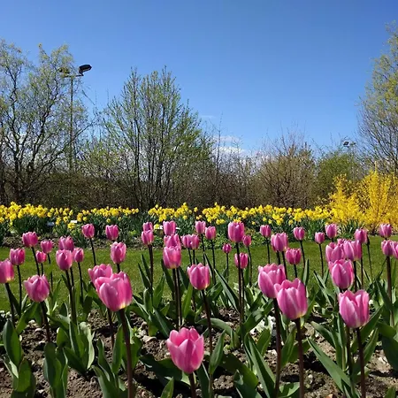 Enchanting In Oksbol Oasis-by Traum Prázdninový dům *