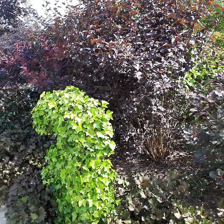 Prázdninový dům Enchanting In Oksbol Oasis-by Traum