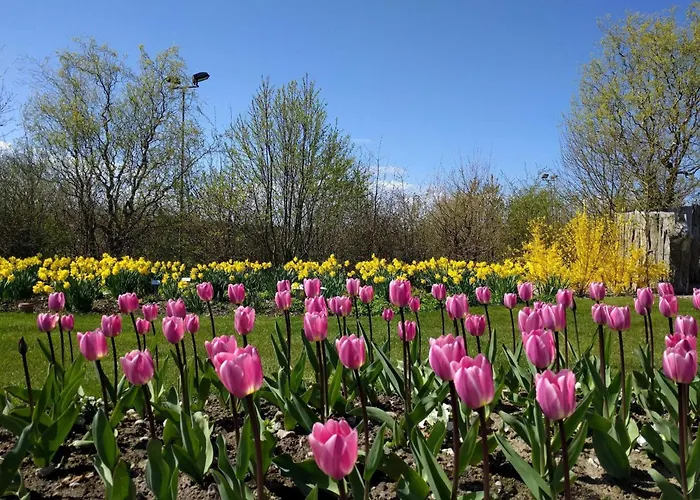 Enchanting In Oksbol Oasis-by Traum Semesterbostad *