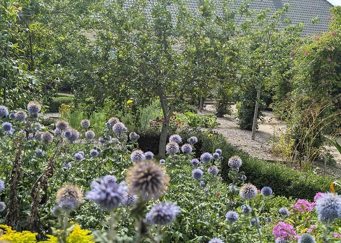 Semesterbostad Enchanting In Oksbol Oasis-by Traum