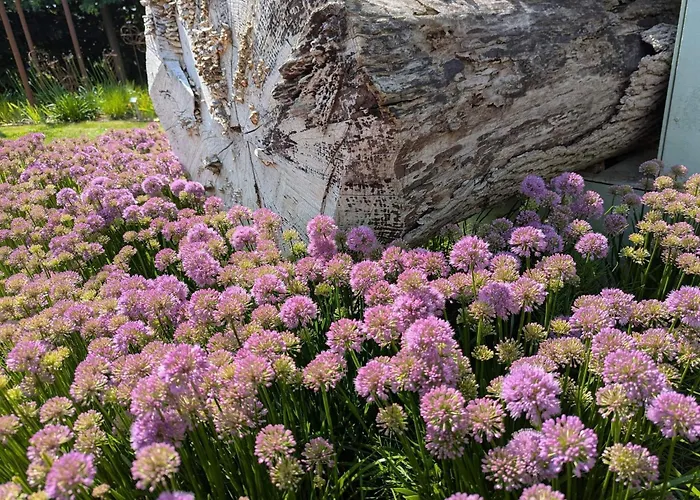 Enchanting In Oksbol Oasis-by Traum * Nordborg