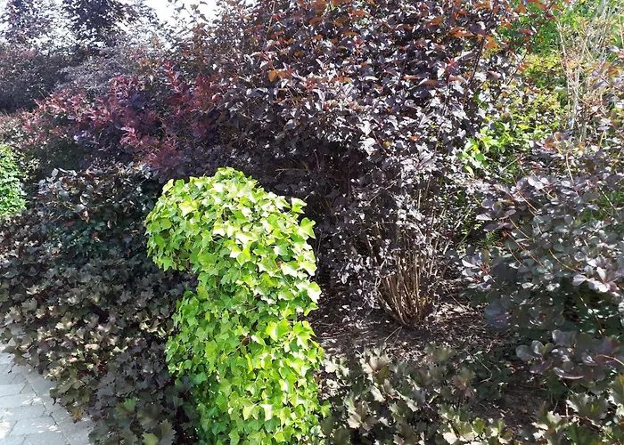 Semesterbostad Enchanting In Oksbol Oasis-by Traum